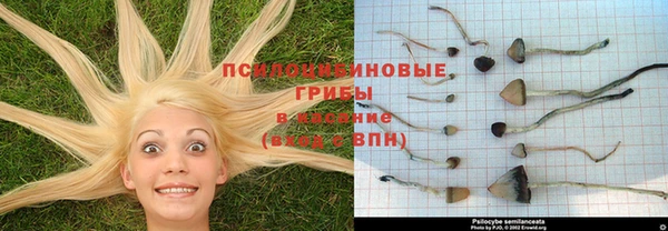 гашик Беломорск
