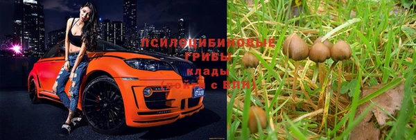 гашик Беломорск
