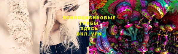 кокаин колумбия Белокуриха
