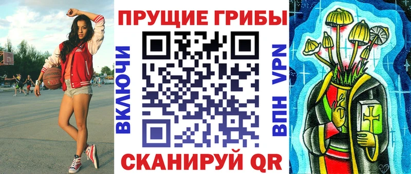 OMG как войти где можно купить Новое Девяткино Галлюциногенные грибы MAGIC MUSHROOMS