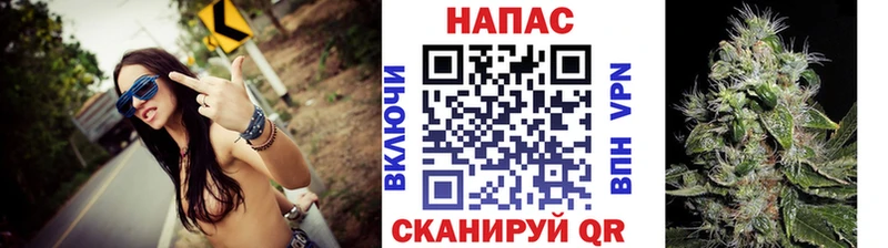 blacksprut   Новое Девяткино  Каннабис сатива 